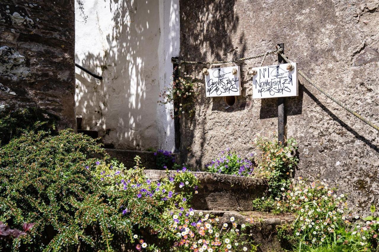 Gulls Rest - Charming Cottage In The Heart Of Historic Dartmouth Kültér fotó